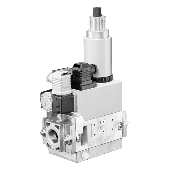 DUNGS MB-ZRDLE 407 B01 S50 DOĞALGAZ MULTİBLOK 3/4''